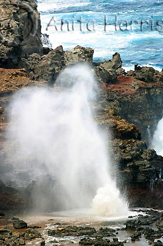 The Blow Hole - West Maui -img_7123_1.jpg