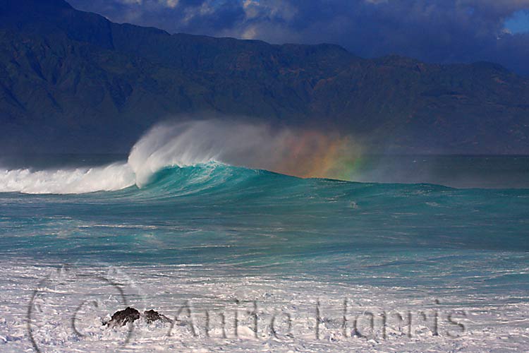 Rainbow on the wave at Hookipa - img_9013.jpg