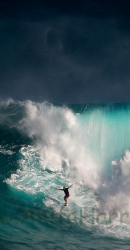 Jaws Surfer - Peahi, Maui's North Shore - Â© Anita Harris - www.AnitaHarris.com