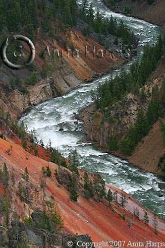 Yellowstone Canyon - img_4015_w.jpg