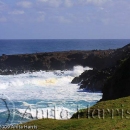 Turtle Bay - one up from Hookipa - img_0306_w.jpg