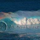 Rainbow on a wave at Jaws - img_0178_2_w.jpg