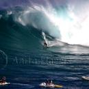 Jaws and surfer - img_2055_1.jpg