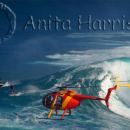 Jaws and helicopters - img_2368_1.jpg