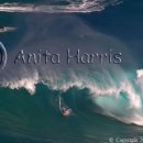 Jaws and surfing - img_2417_1_w.jpg