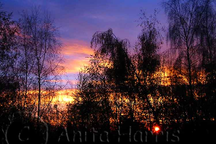 Sunrise in Hambledon -ixus-0029_1.jpg