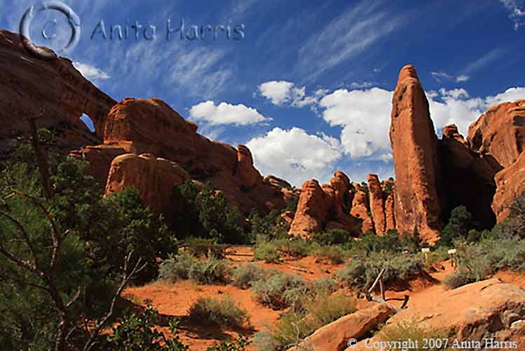 Arches National Park -img_1578_w.jpg