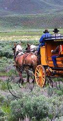 Yellowstone Horse and Carriage - img_4957_w.jpg